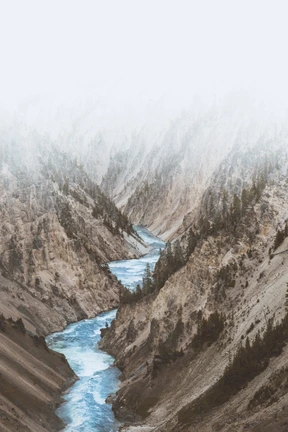 Naturaleza