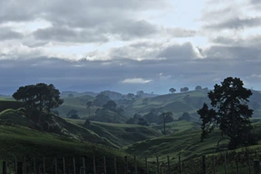 Naturaleza