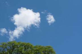 Cielo blu con nuvole e alberi