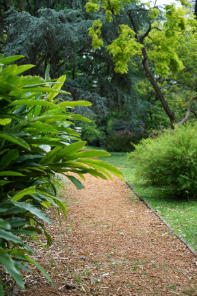 Im garten kann man wunderbar spazieren gehen und sich entspannen