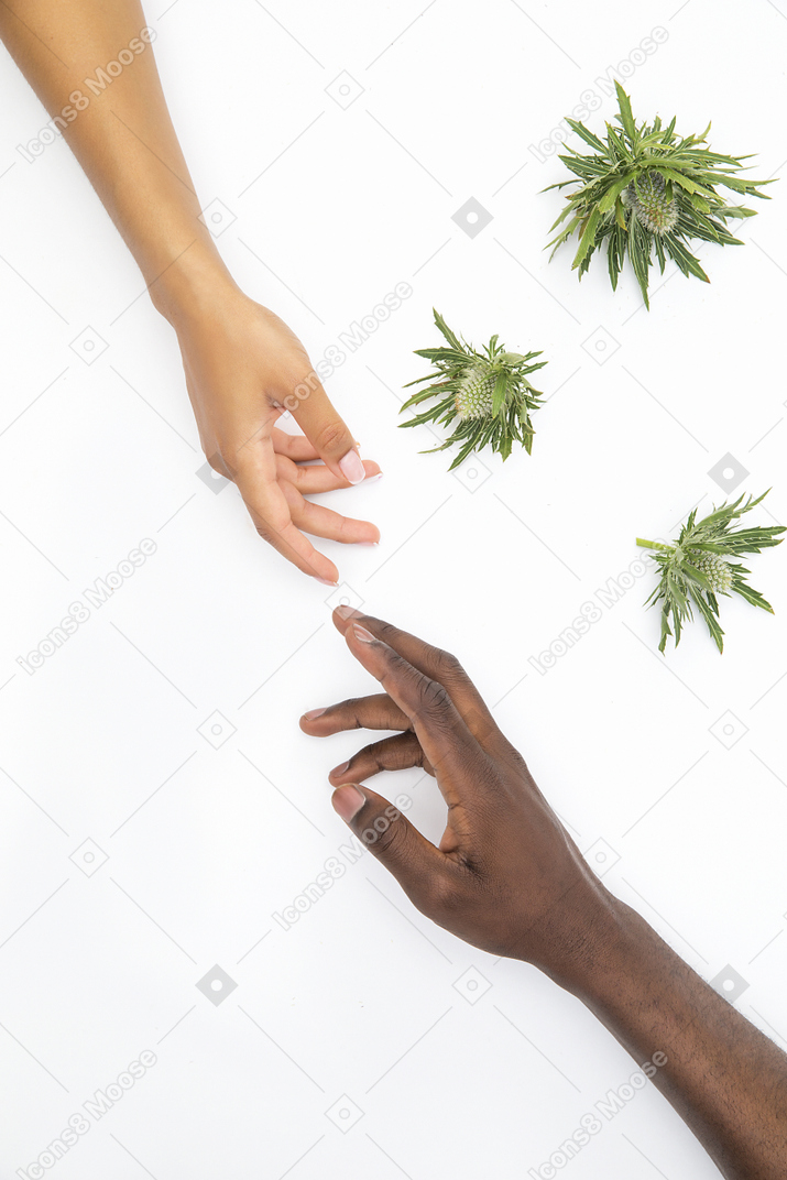 Black male and white female hands almost touching