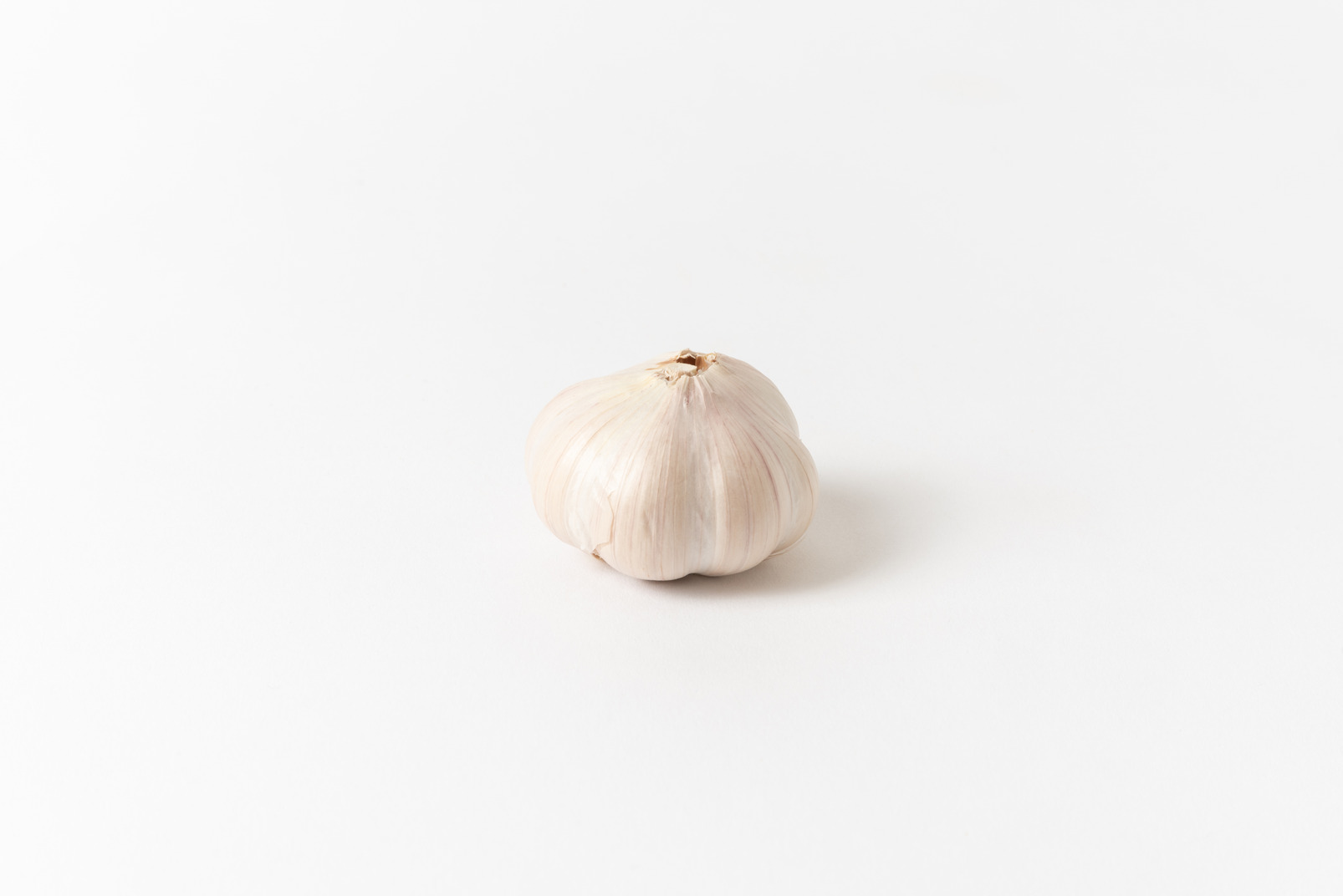 Garlic bulb on a white background
