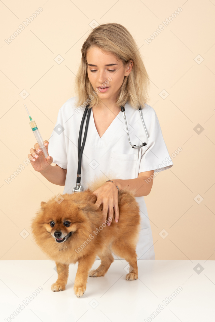Attractive veterenarian ready to make an injection to a red spitz