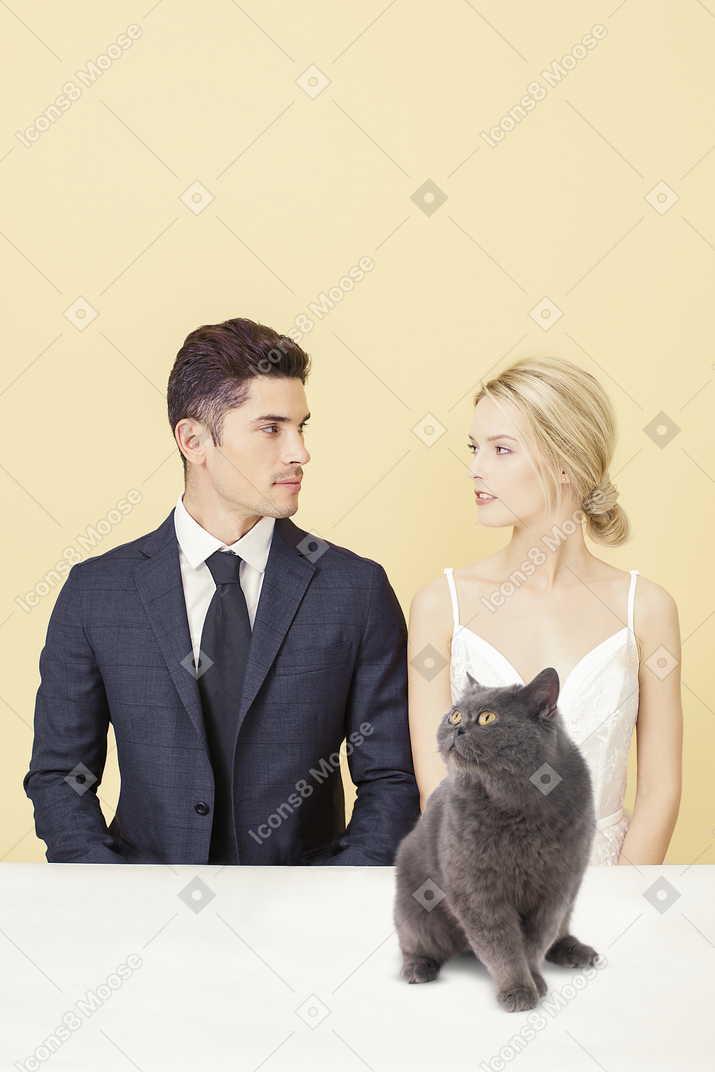 You marry me, you marry my cat
