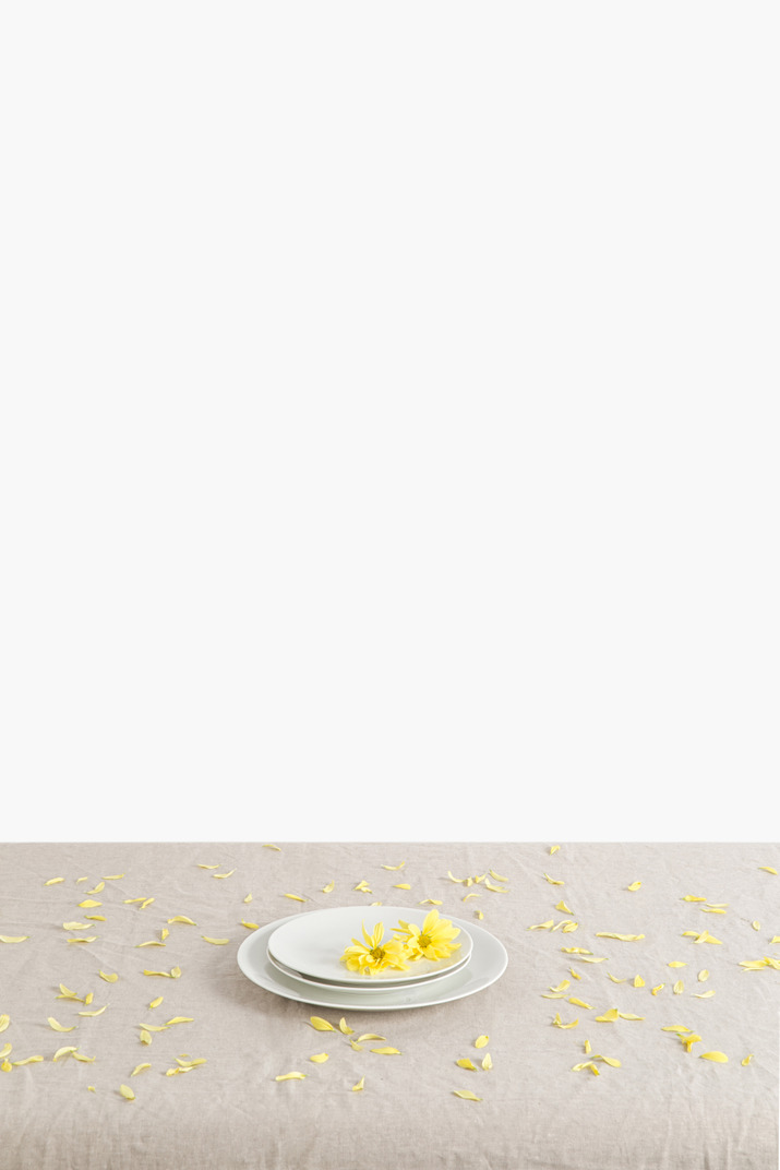 Yellow chrysanthemum heads on a plate surrounded by flower petals