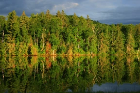 Naturaleza