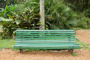 Banco verde en el camino del jardín cerca de una planta grande