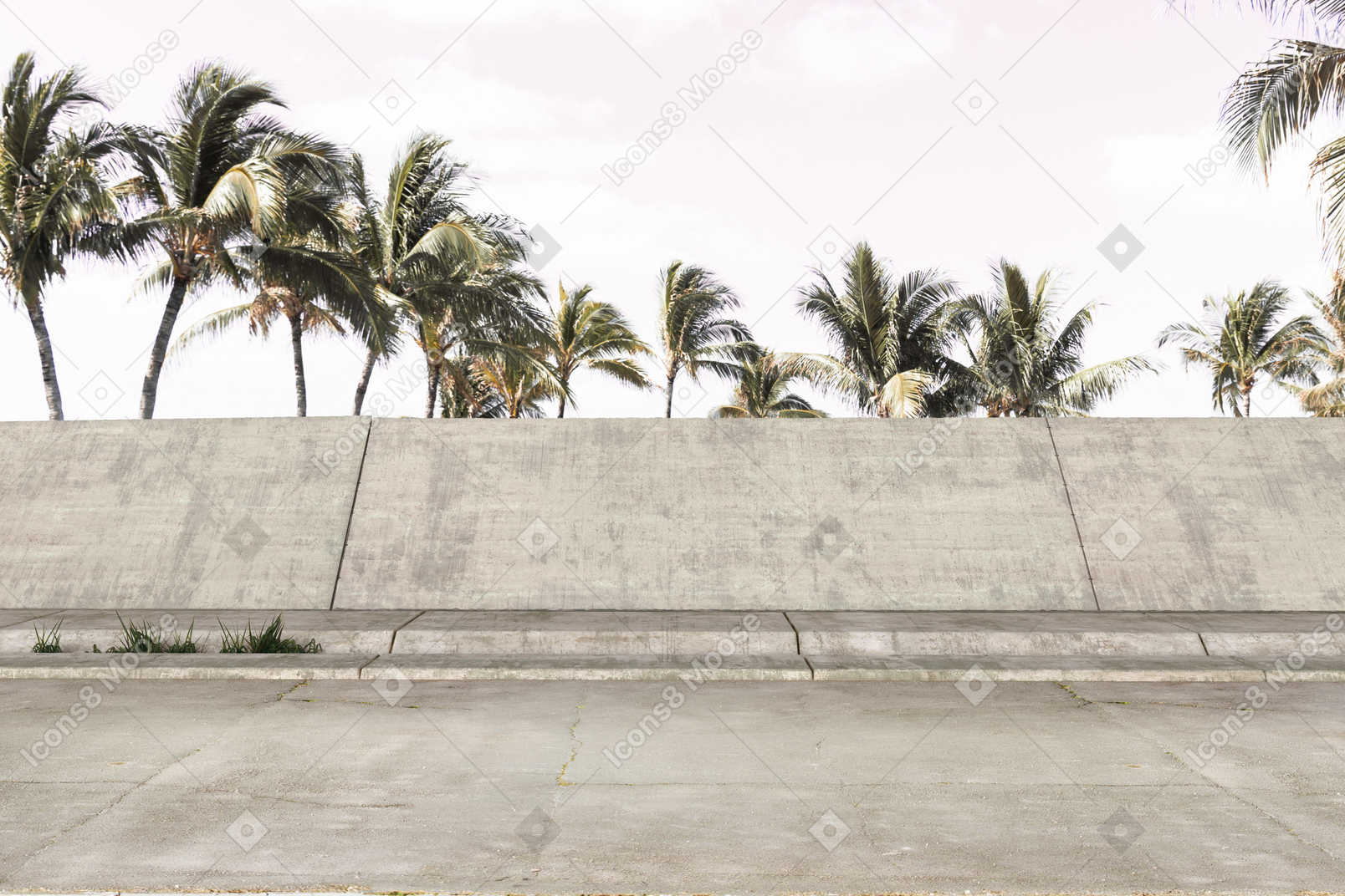 Concrete wall with palm trees in the background