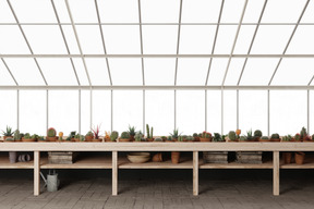 Desert greenhouse
