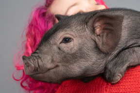 Pink haired female holding a little piglet