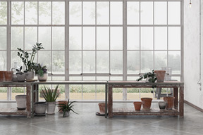 Glasshouse with wooden tables and potted plants