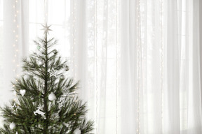 Christmas tree near window