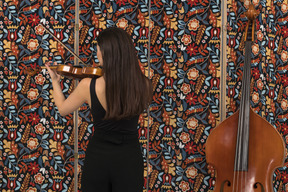 Musicista femminile del brunette che gioca violino di nuovo alla macchina fotografica