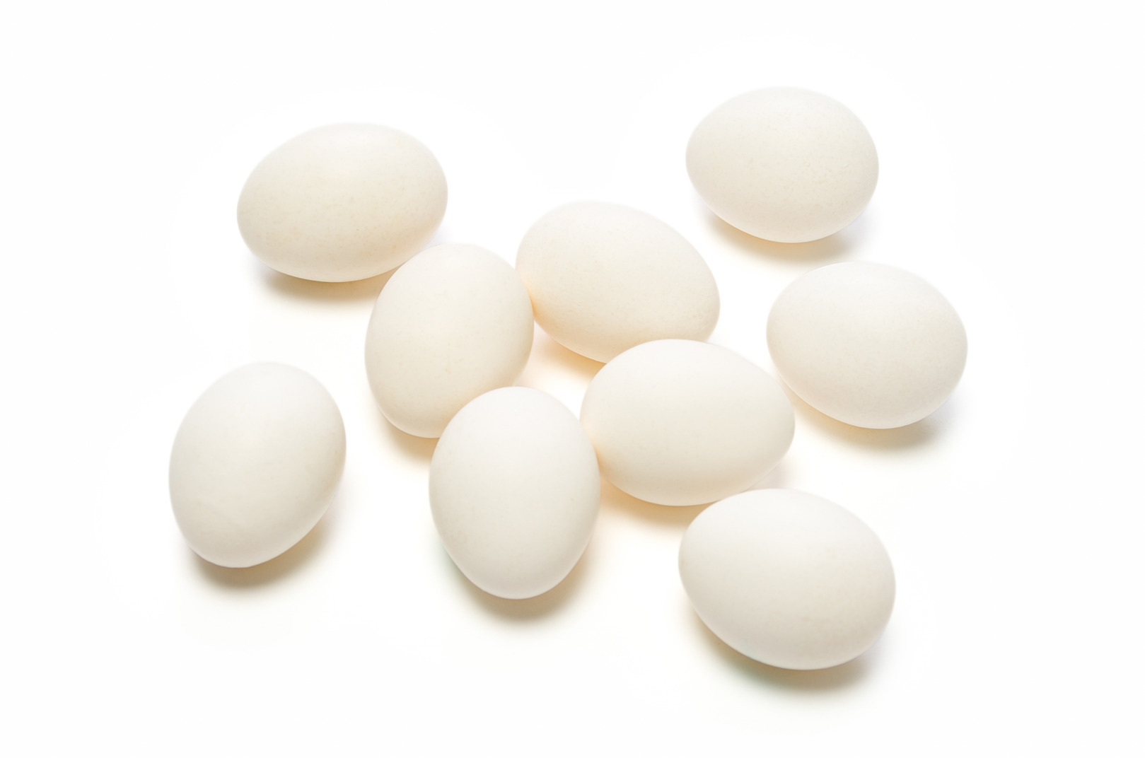 White chicken eggs on a white background