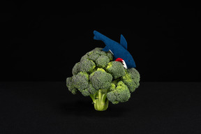 Requin-jouet mangeant un arbre de brocoli