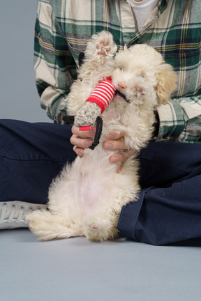 Gros plan d'un maître dans une chemise à carreaux et un petit caniche avec un jouet