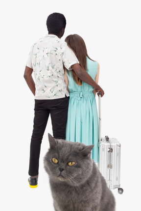 British shorthair cat and a loving couple