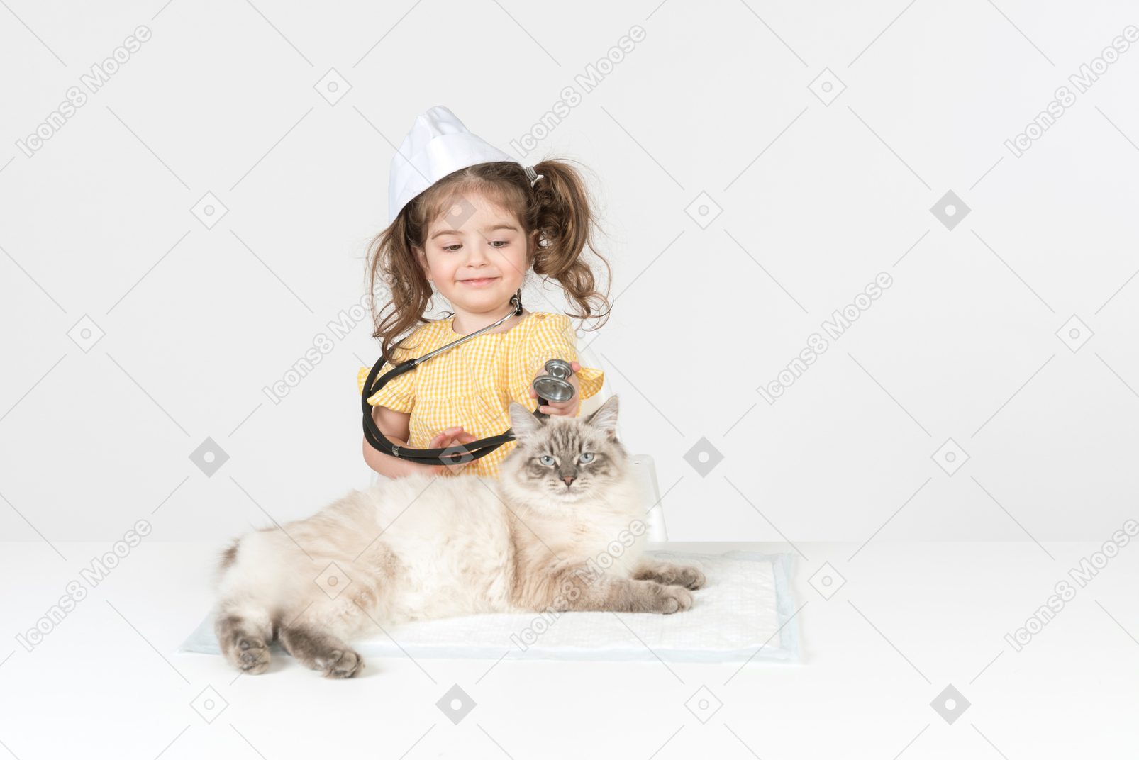 Little kid girl with stethoscope and wearing medical hat curing a cat