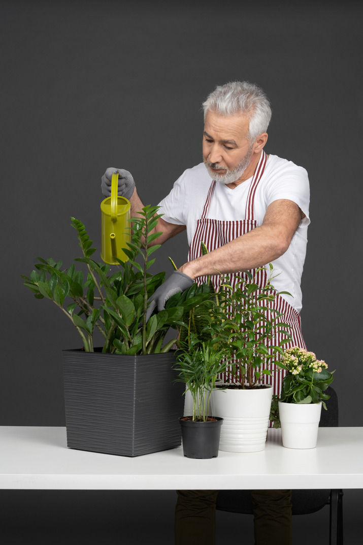 A mature man watering plants