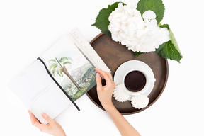 Cup of coffee, meringues, white flower and book on round wooden tray