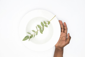 Mano masculina negra sosteniendo un plato blanco con ramita verde en él