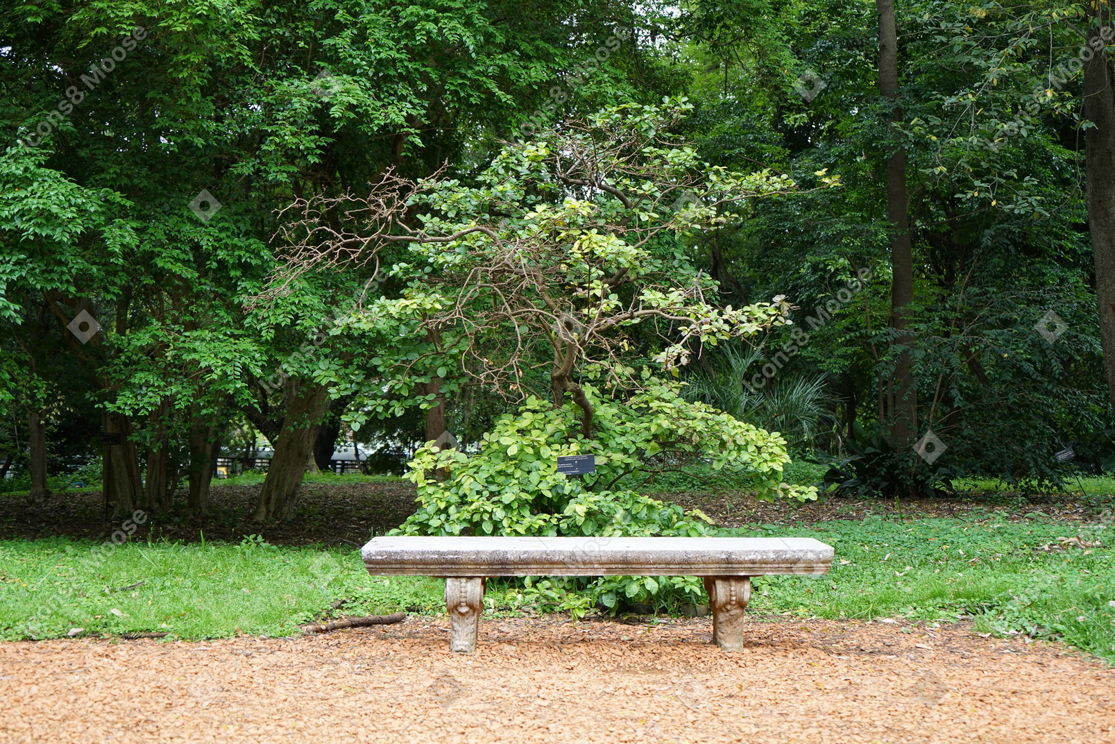 庭のベンチはちょうど完璧な場所です