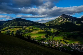 Nature