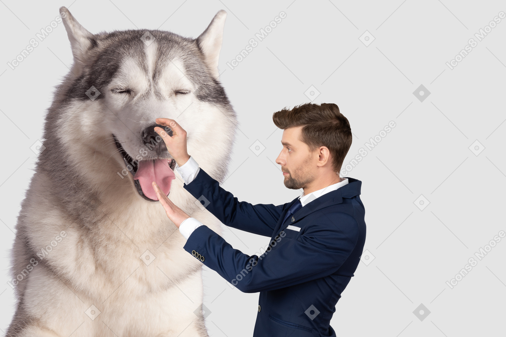 Homme touchant le nez d'un chien géant