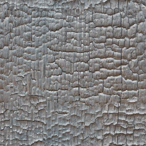 Textura de madera quemada