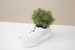 Flower inside men's sneakers