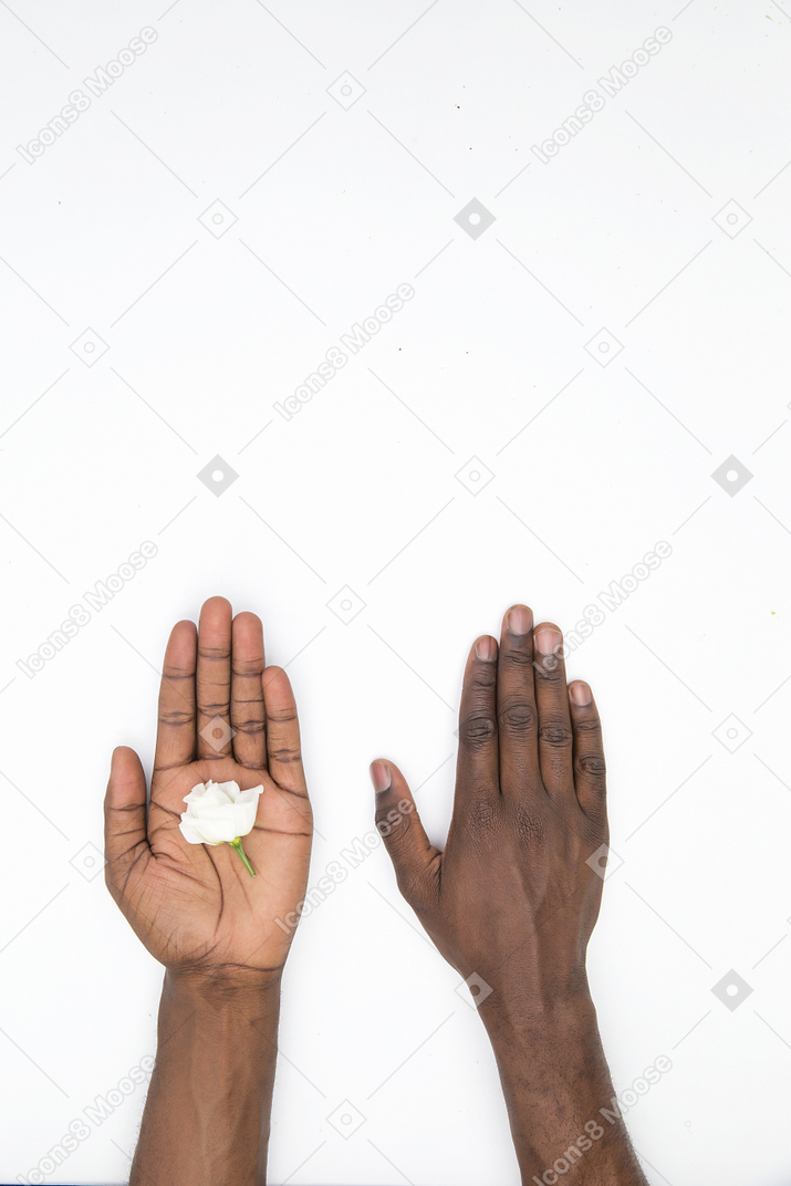 Черные мужские руки с цветами в руках