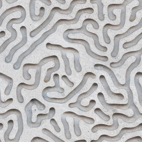 Plaster wall with coralline pattern