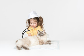 Kleinkindmädchen mit stethoskop und dem tragen des medizinischen hutes, der eine katze kuriert