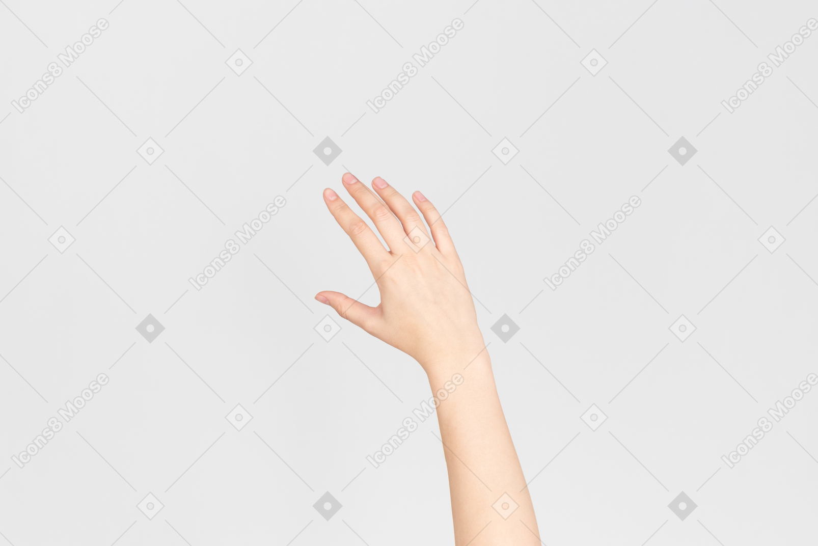 Mão feminina em fundo branco
