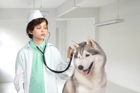A young boy dressed as a doctor examining a dog