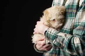 Close-up de um humano em uma camisa quadriculada segurando um pequeno poodle