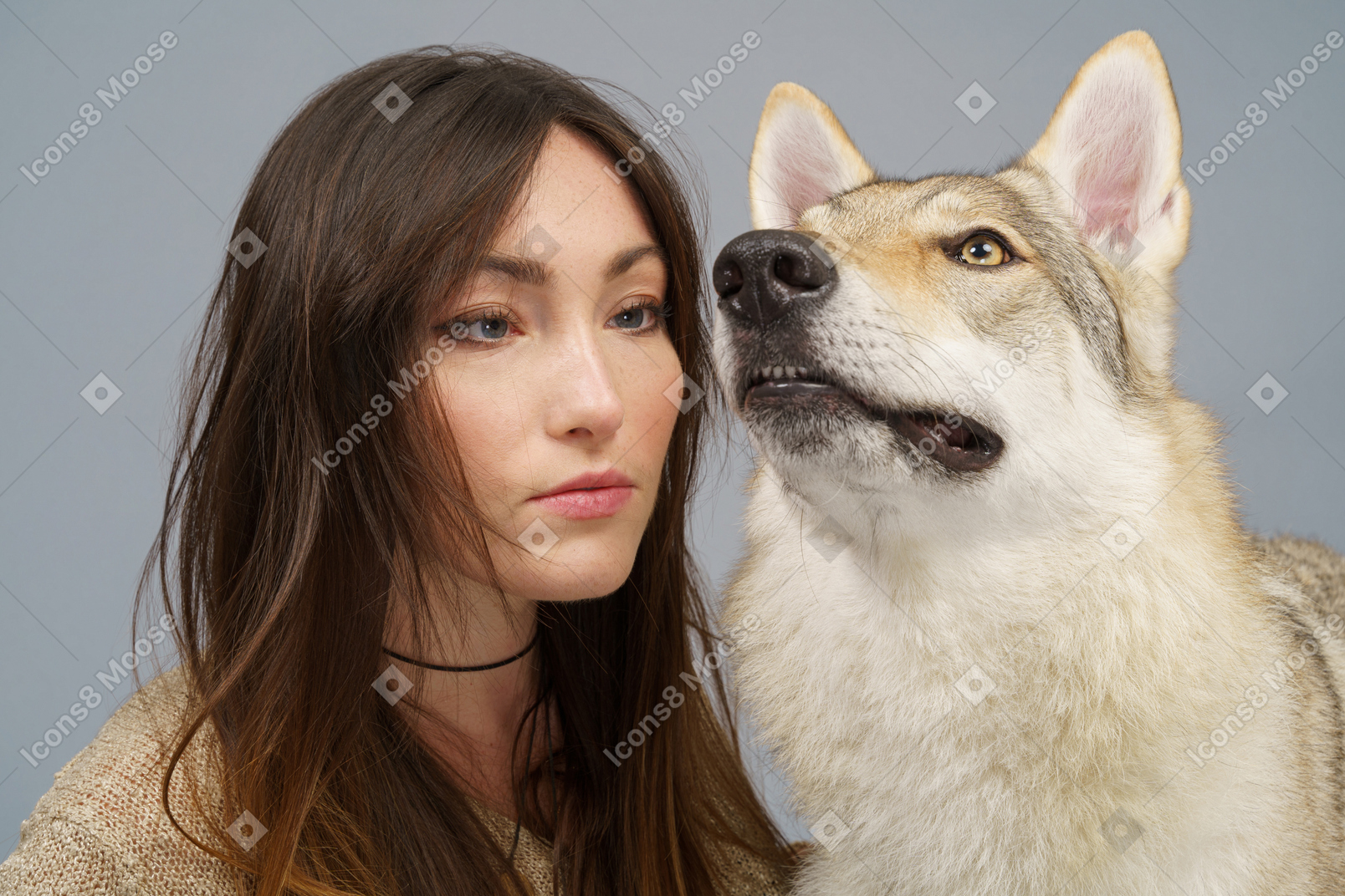 彼女の犬を見ている女性マスターのクローズアップ