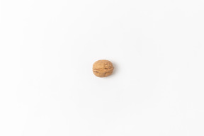 Single walnut in a shell