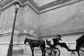 Transport