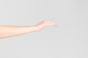 Sguardo laterale della mano femminile come agitando