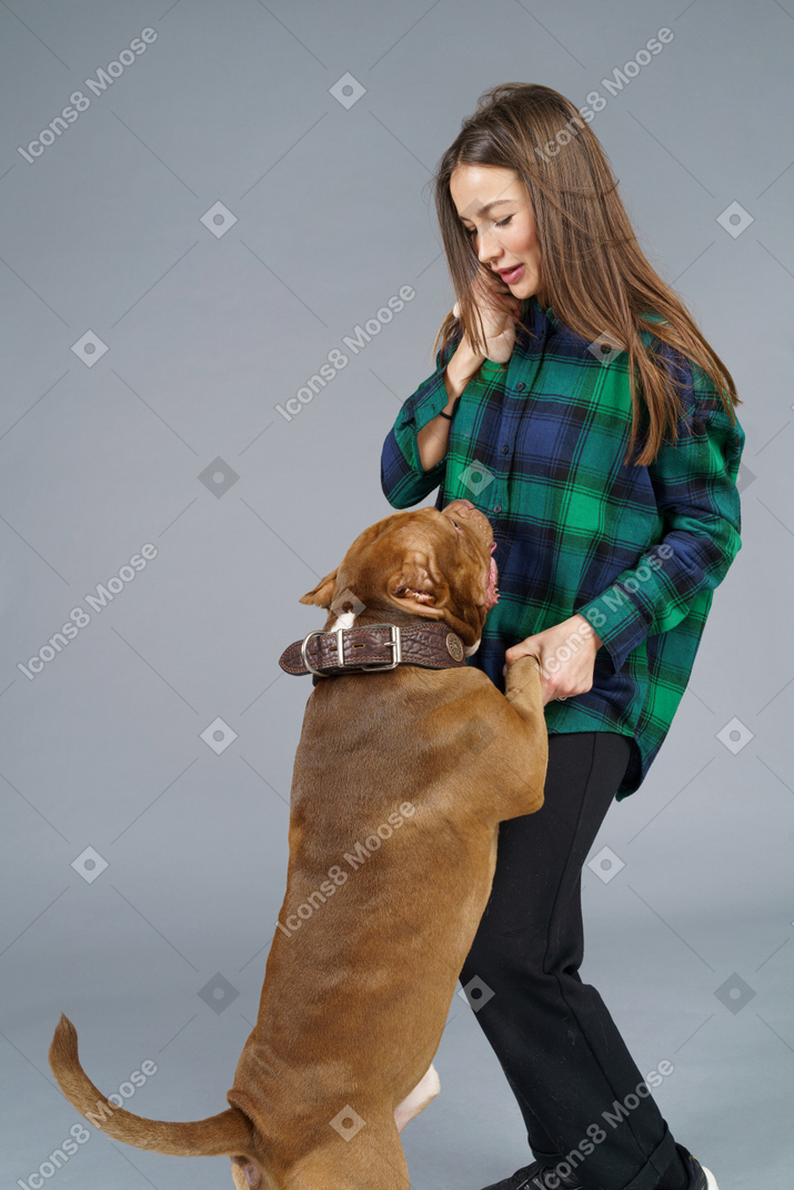Close-up of a brown bulldog dancing with young woman