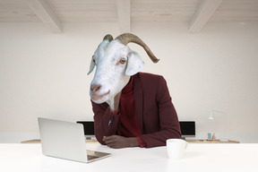 A man in a goat mask sitting in front of a laptop