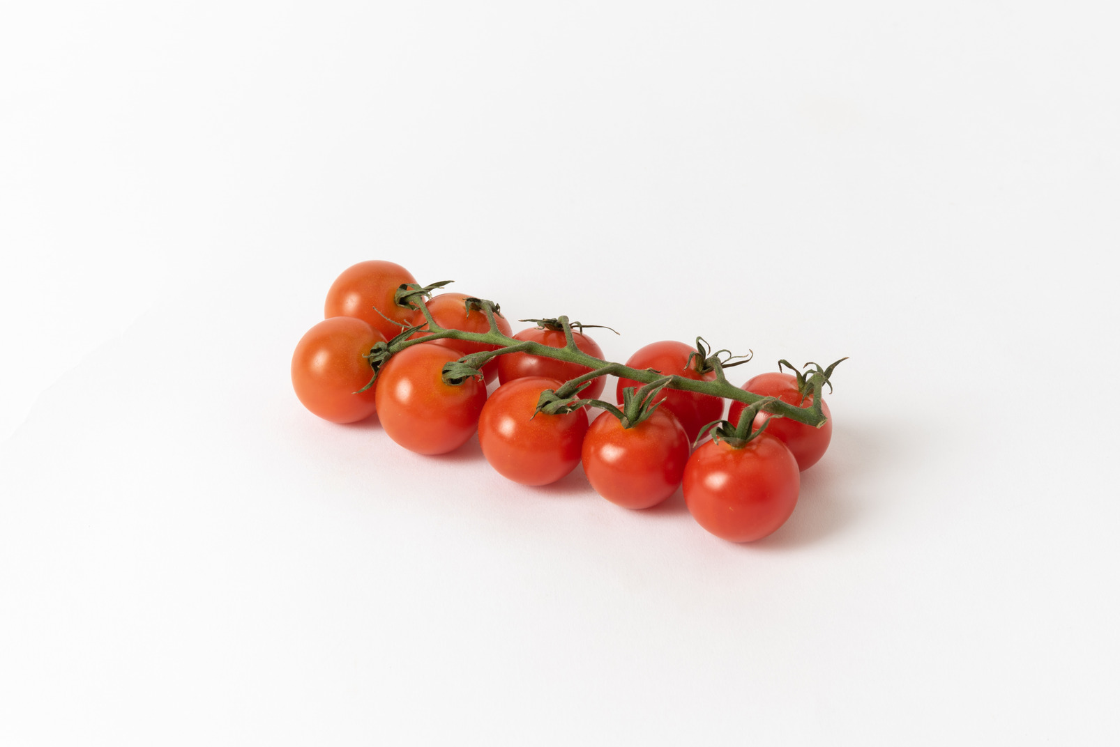 A branch of cherry tomatoes