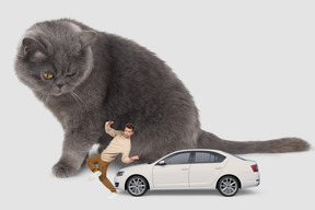 Riesige graue katze, die neben einem auto und einem tanzenden mann sitzt