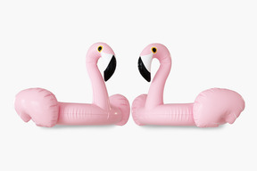 Deux anneaux en caoutchouc flamingo sur fond blanc