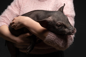 Joven mujer sosteniendo un cerdo en miniatura