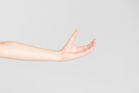 Mirada lateral de la mano femenina con la mano abierta