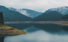 Naturaleza