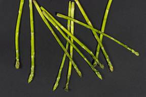 Asparagus on black background