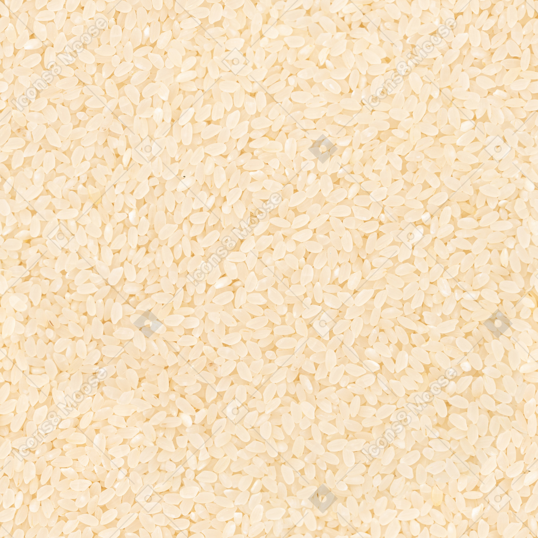 Semillas de arroz secas